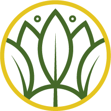 logo2 logo2